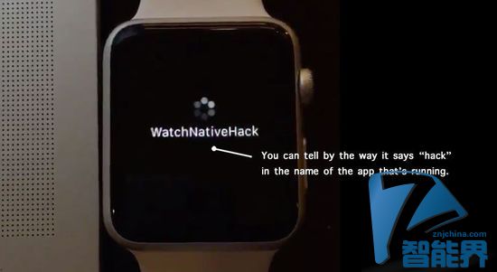Apple Watch SDK被黑？